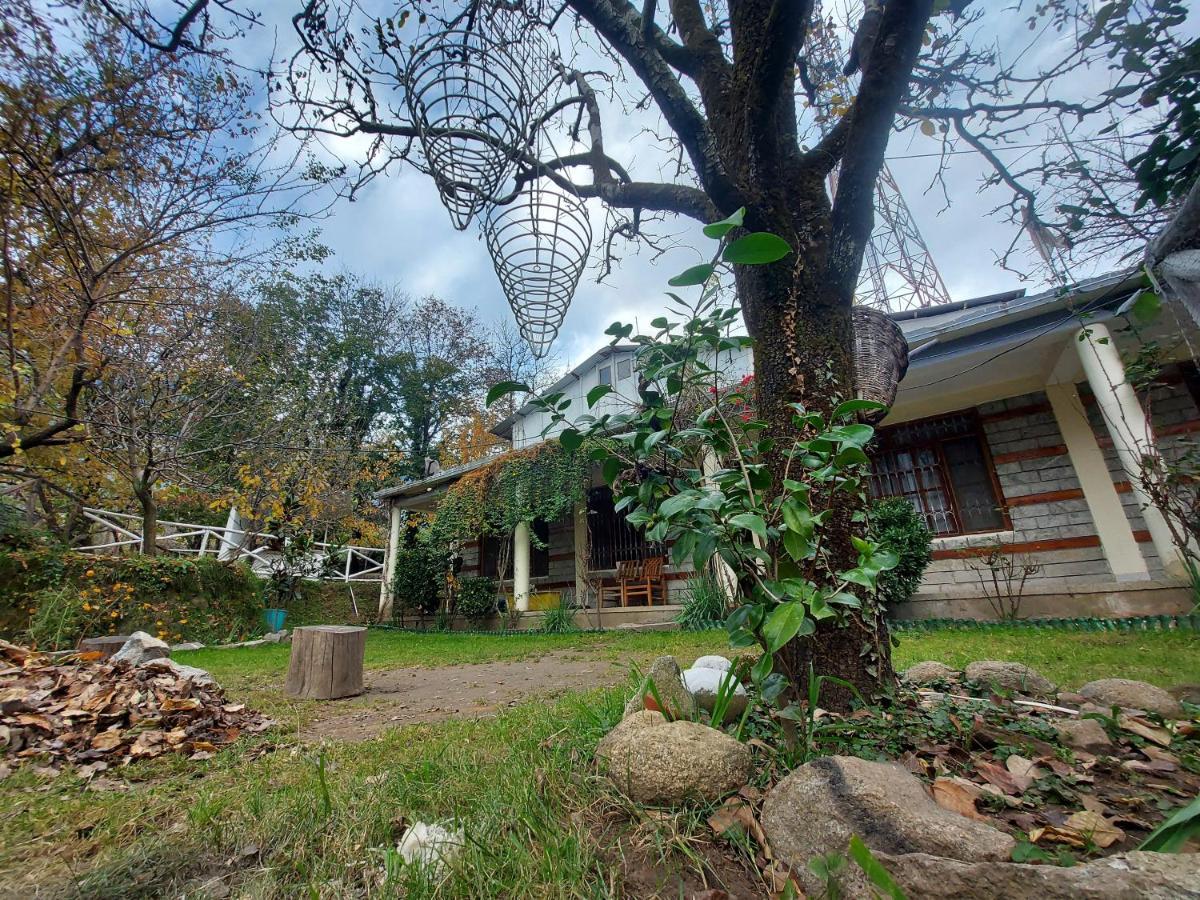 Mars Monkey Hostel & Cafe Manali  Bagian luar foto