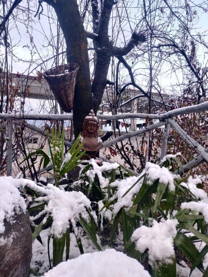 Mars Monkey Hostel & Cafe Manali  Bagian luar foto