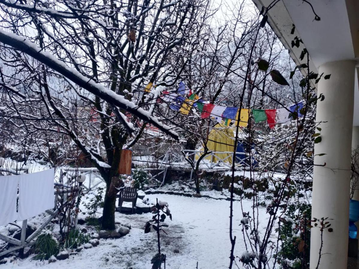Mars Monkey Hostel & Cafe Manali  Bagian luar foto