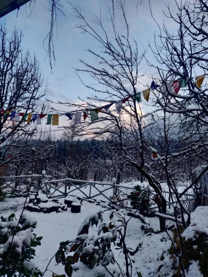 Mars Monkey Hostel & Cafe Manali  Bagian luar foto
