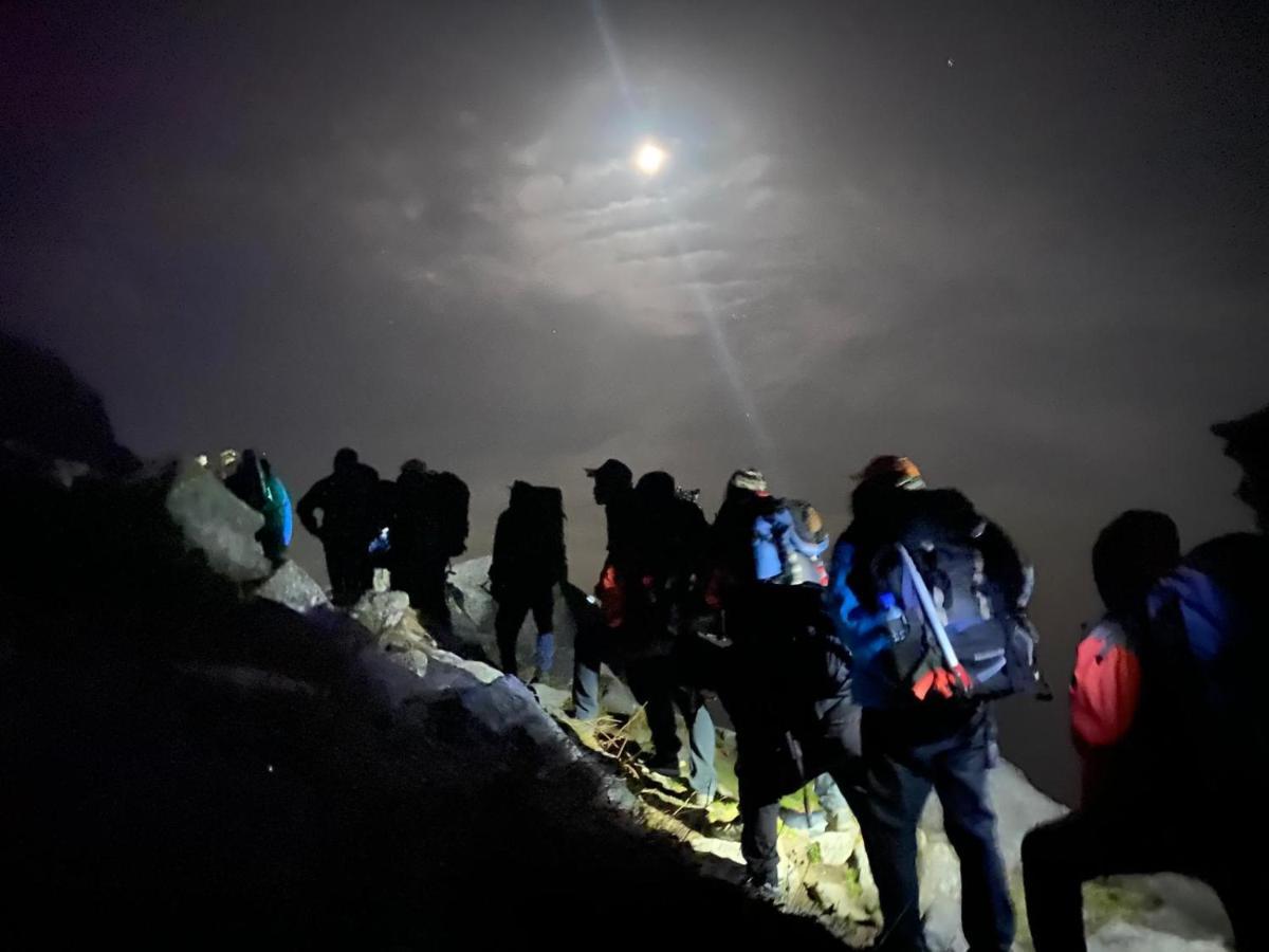 Mars Monkey Hostel & Cafe Manali  Bagian luar foto