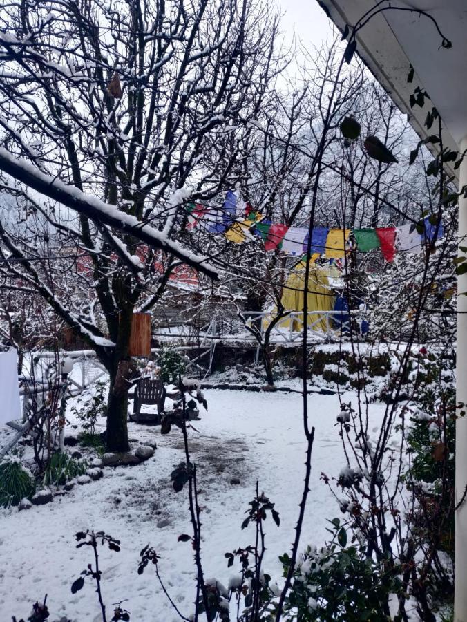 Mars Monkey Hostel & Cafe Manali  Bagian luar foto